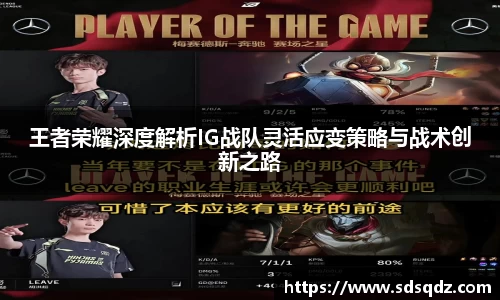 王者荣耀深度解析IG战队灵活应变策略与战术创新之路